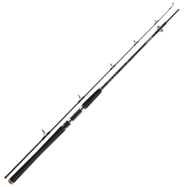 DAIWA BG Offshore Pilk 270cm 40-125gr